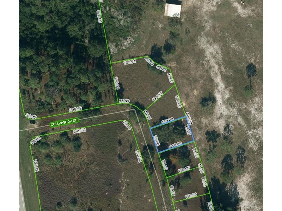 132 Collinwood Drive Lake Placid FL 33852 OM624631 image1