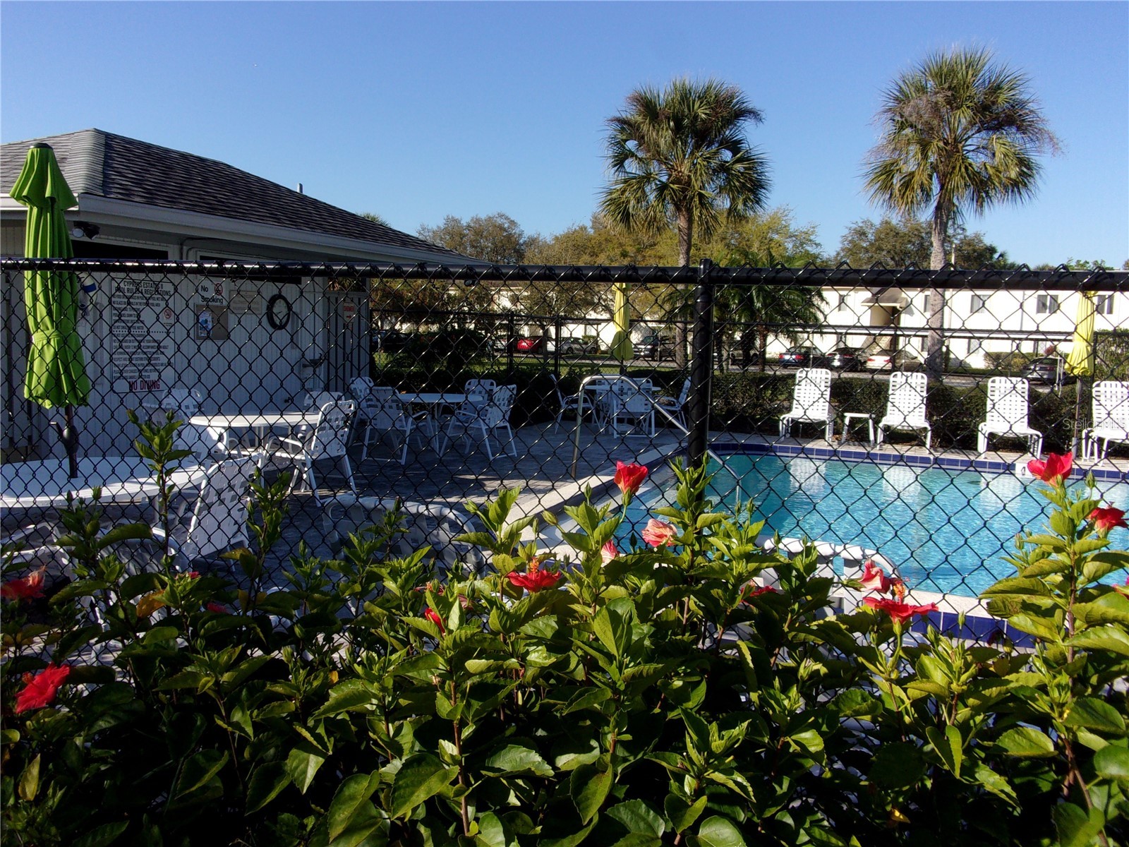 132 E Cypress Court Oldsmar FL 34677 TB8514035 image25