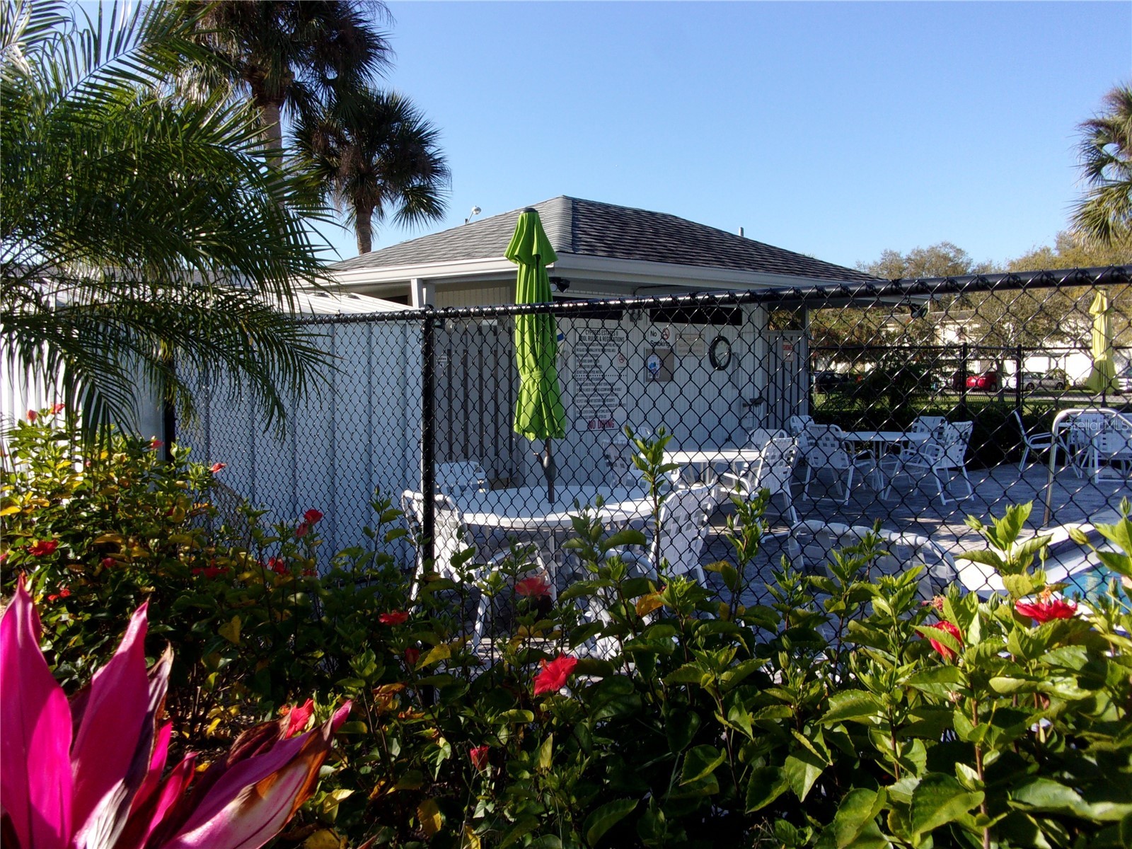 132 E Cypress Court Oldsmar FL 34677 TB8514035 image26
