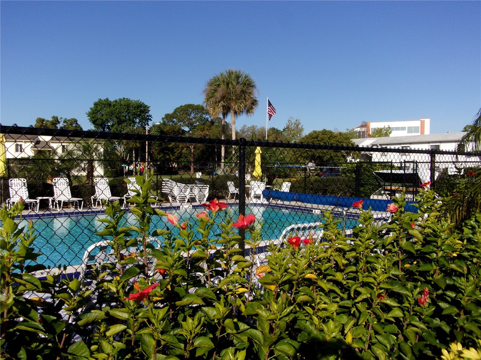 132 E Cypress Court Oldsmar FL 34677 TB8514035 image27