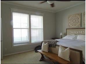 132 Eastpark Drive Celebration FL 34747 S5135290 image29