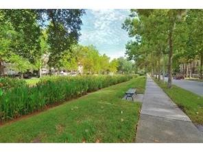 132 Eastpark Drive Celebration FL 34747 S5135290 image37