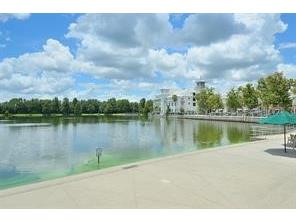 132 Eastpark Drive Celebration FL 34747 S5135290 image40