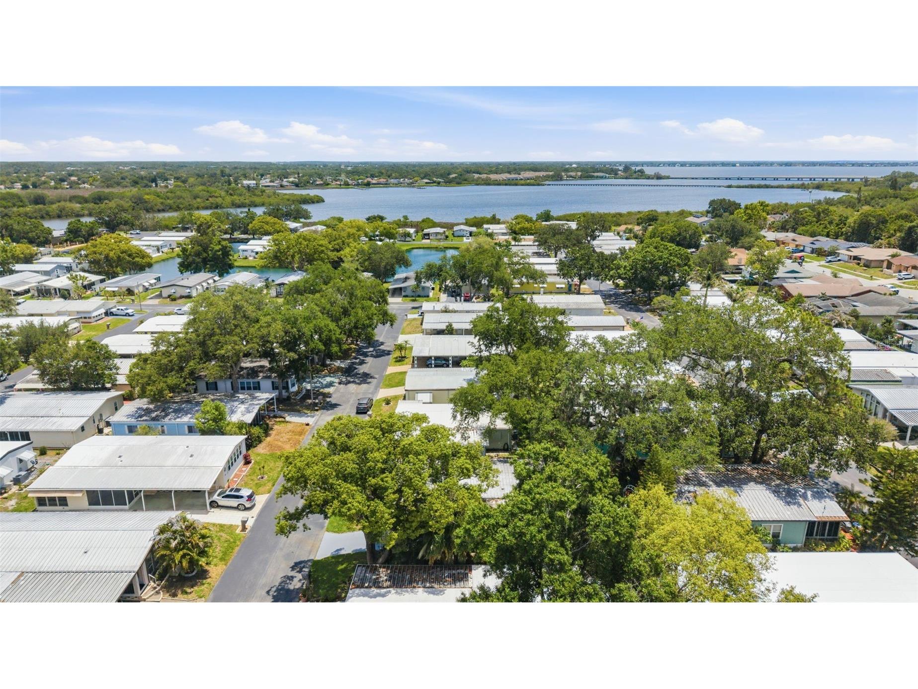 132 Forest Lane #6 Safety Harbor FL 34695 TB8513019 image32