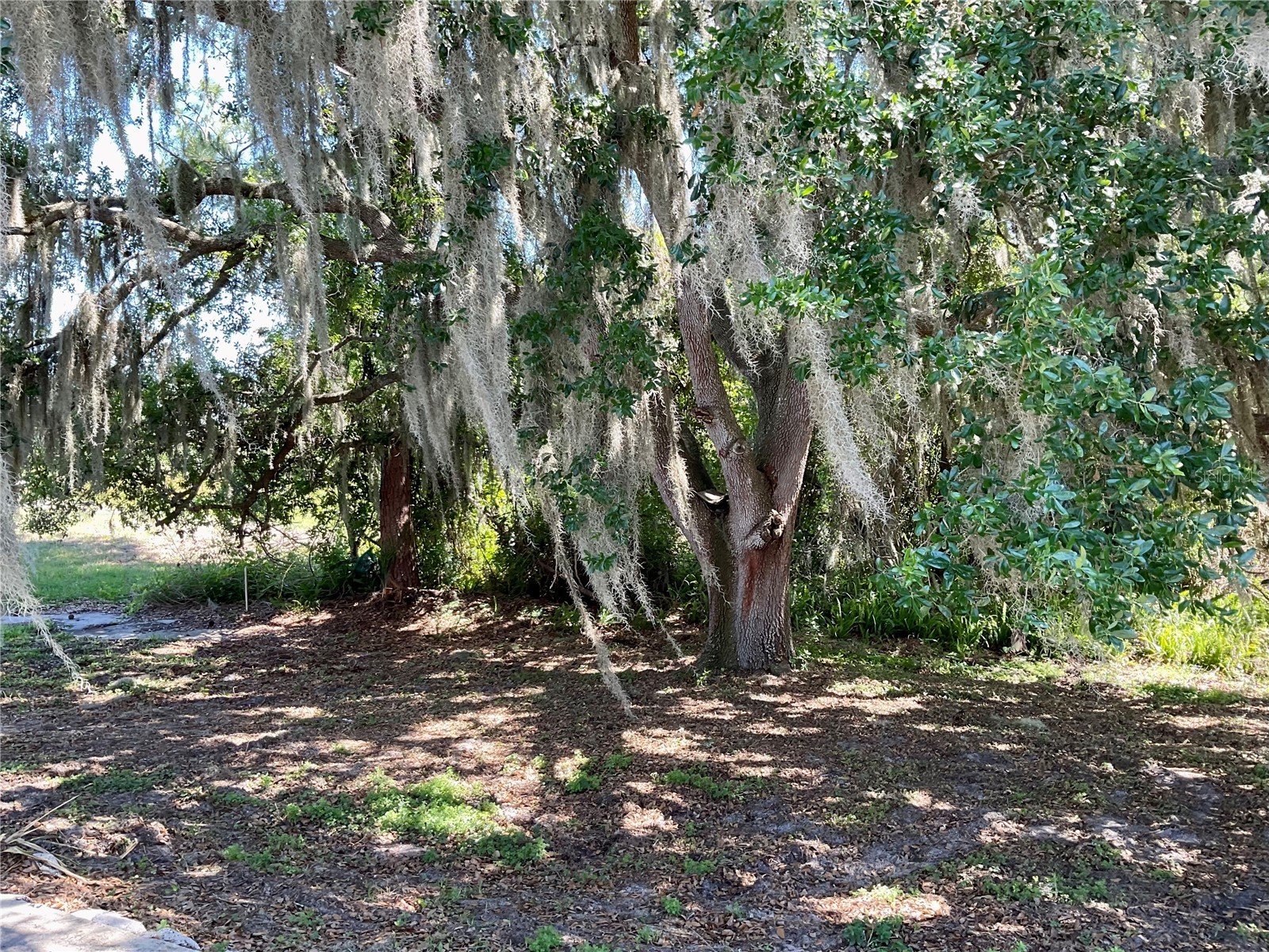 132 Golf Aire Blvd Haines City FL 33844 S5147899 image29