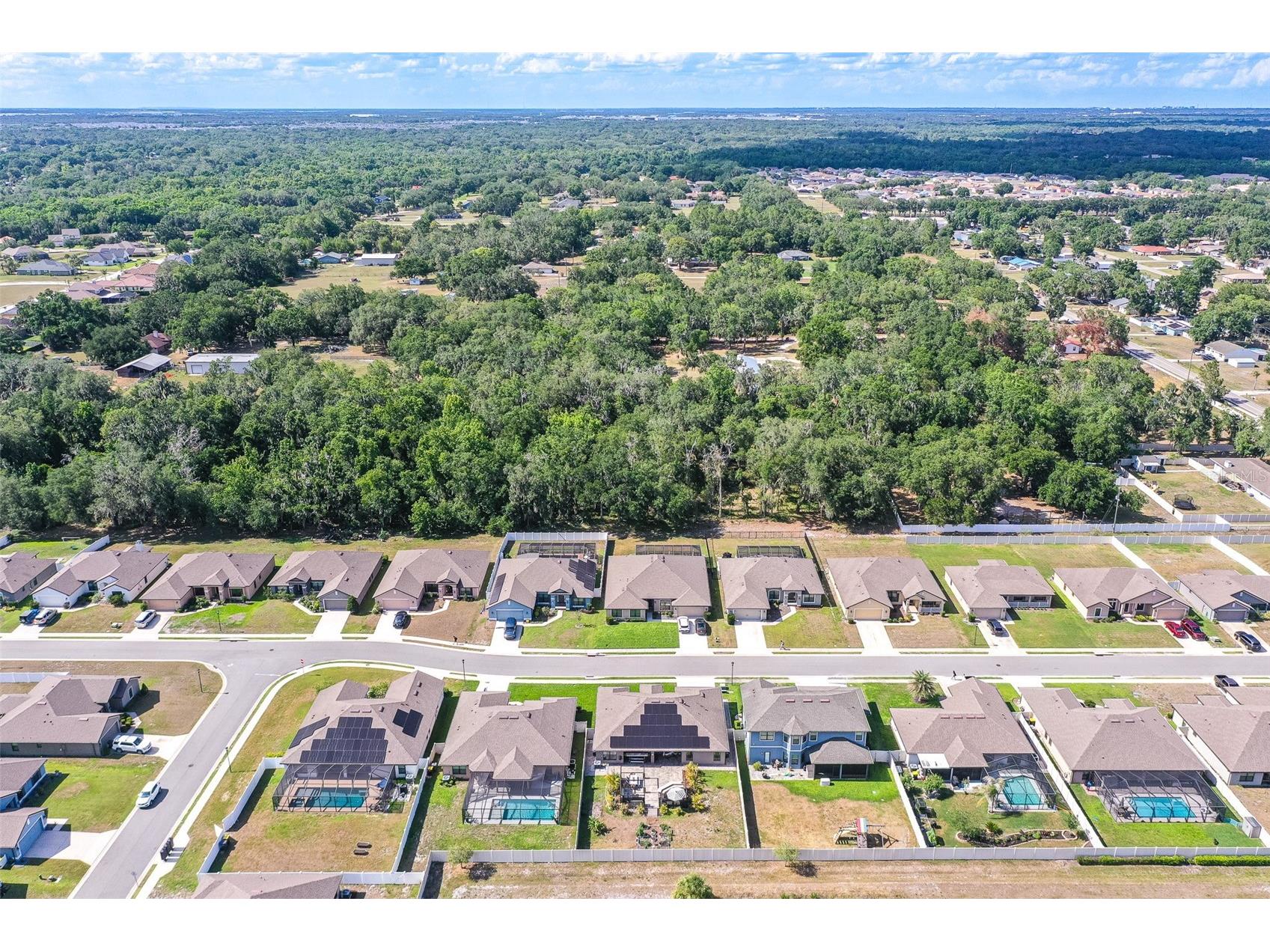 132 Heritage Park Lane Mulberry FL 33860 L4961723 image41