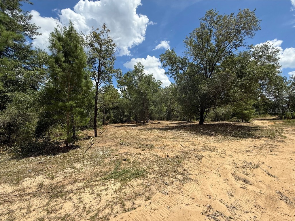 132 Illinois Street Interlachen FL 32148 O6340811 image2