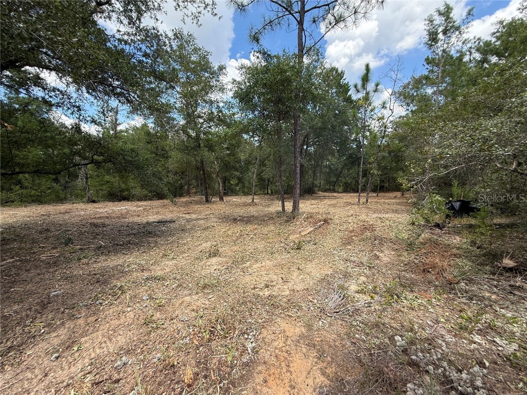 132 Illinois Street Interlachen FL 32148 O6340811 image3