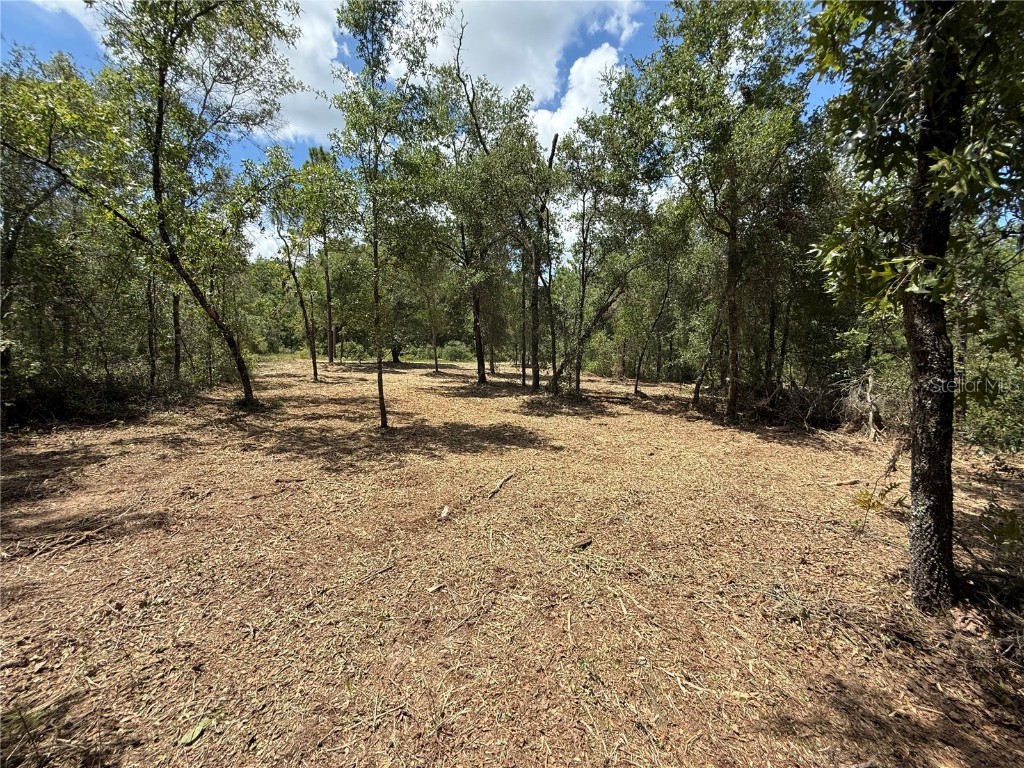 132 Illinois Street Interlachen FL 32148 O6340811 image4