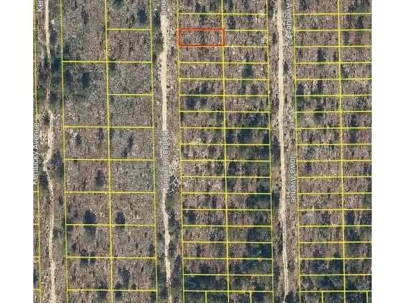 132 Kansas Avenue Hawthorne FL 32640 O6278042 image1