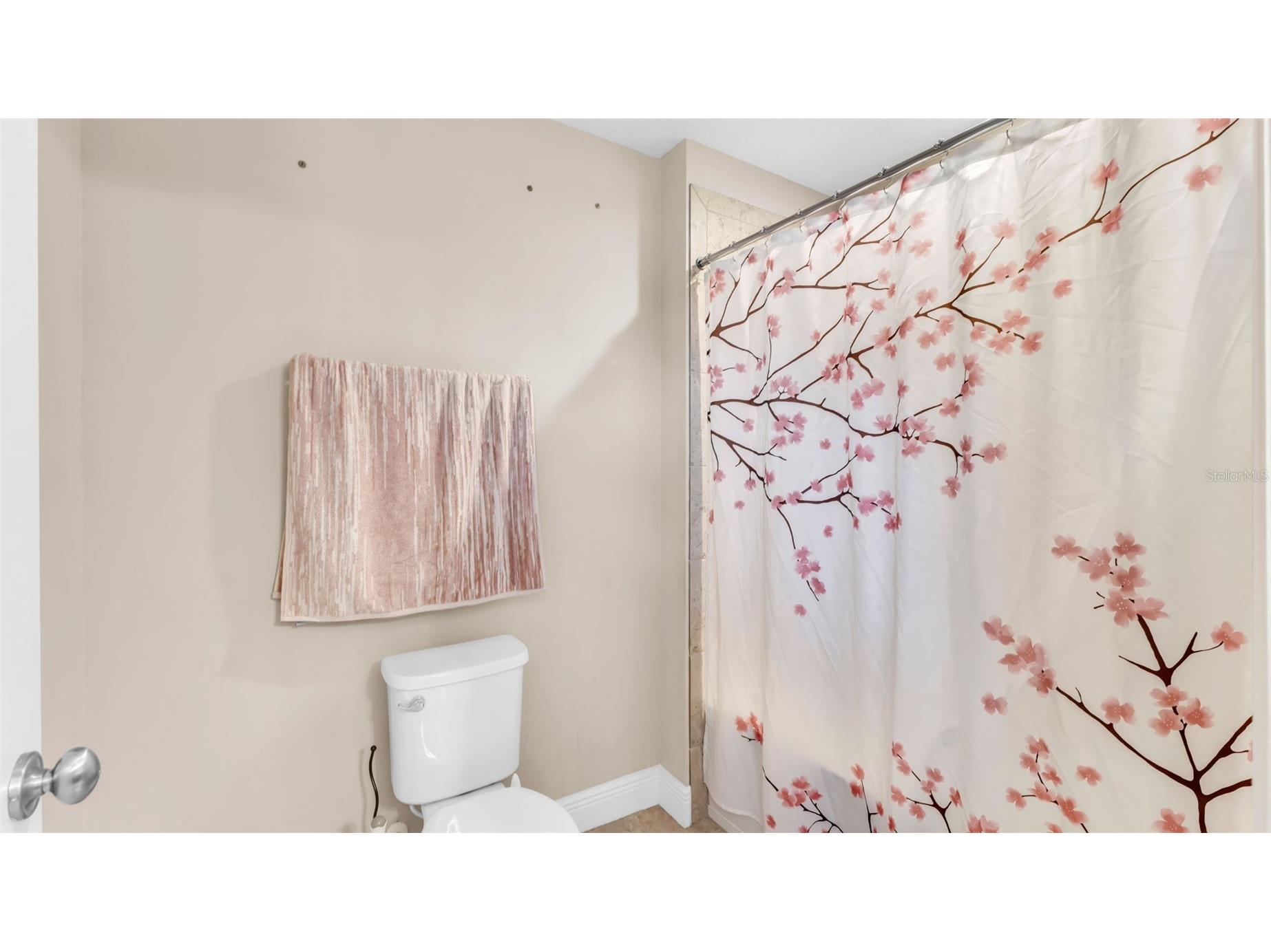 132 Magneta Loop Auburndale FL 33823 L4954170 image39