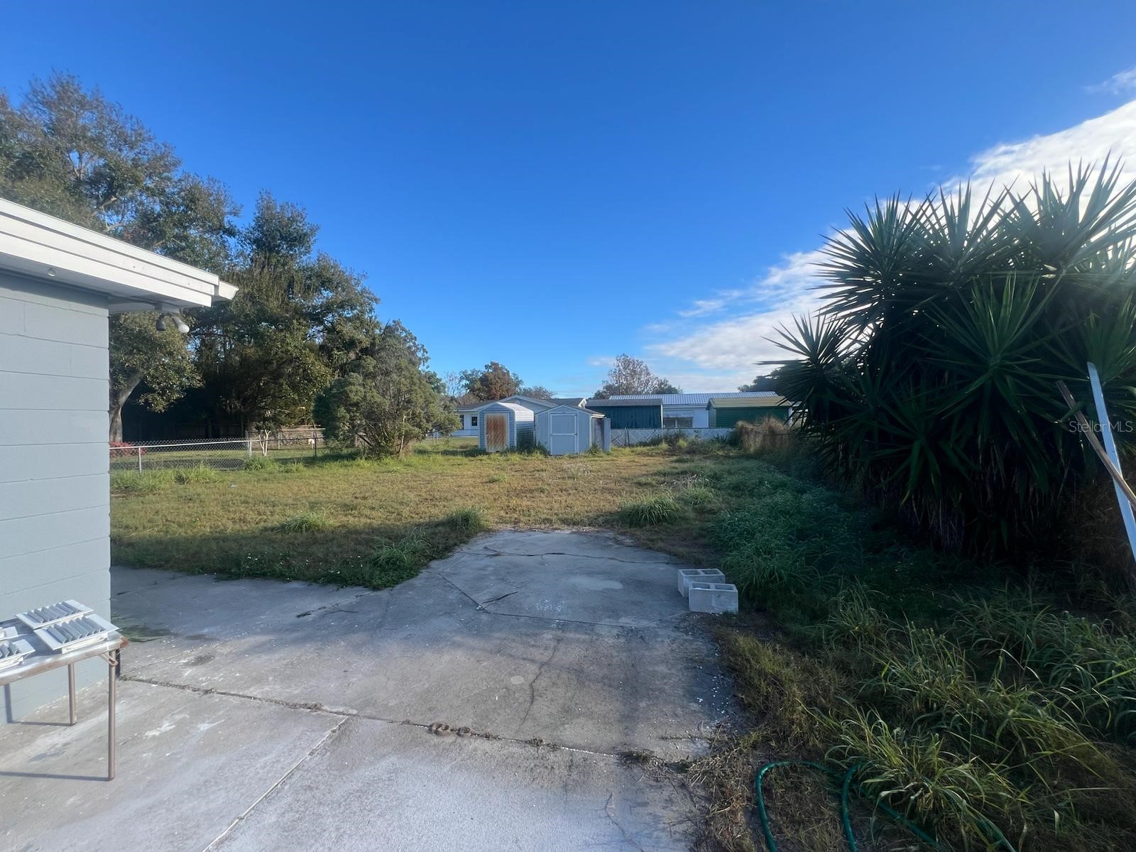 132 Miller Drive Winter Haven FL 33884 P4937499 image5