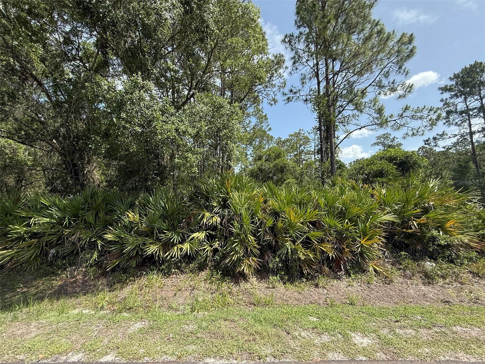 132 Millican Road Palatka FL 32177 K4903537 image1