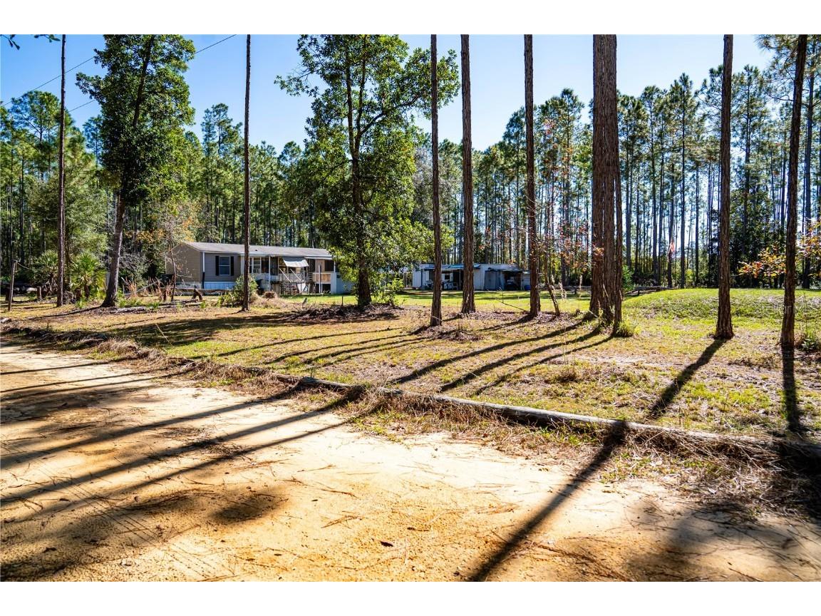 132 Nutmeg Trail Interlachen FL 32148 TB8458684 image100