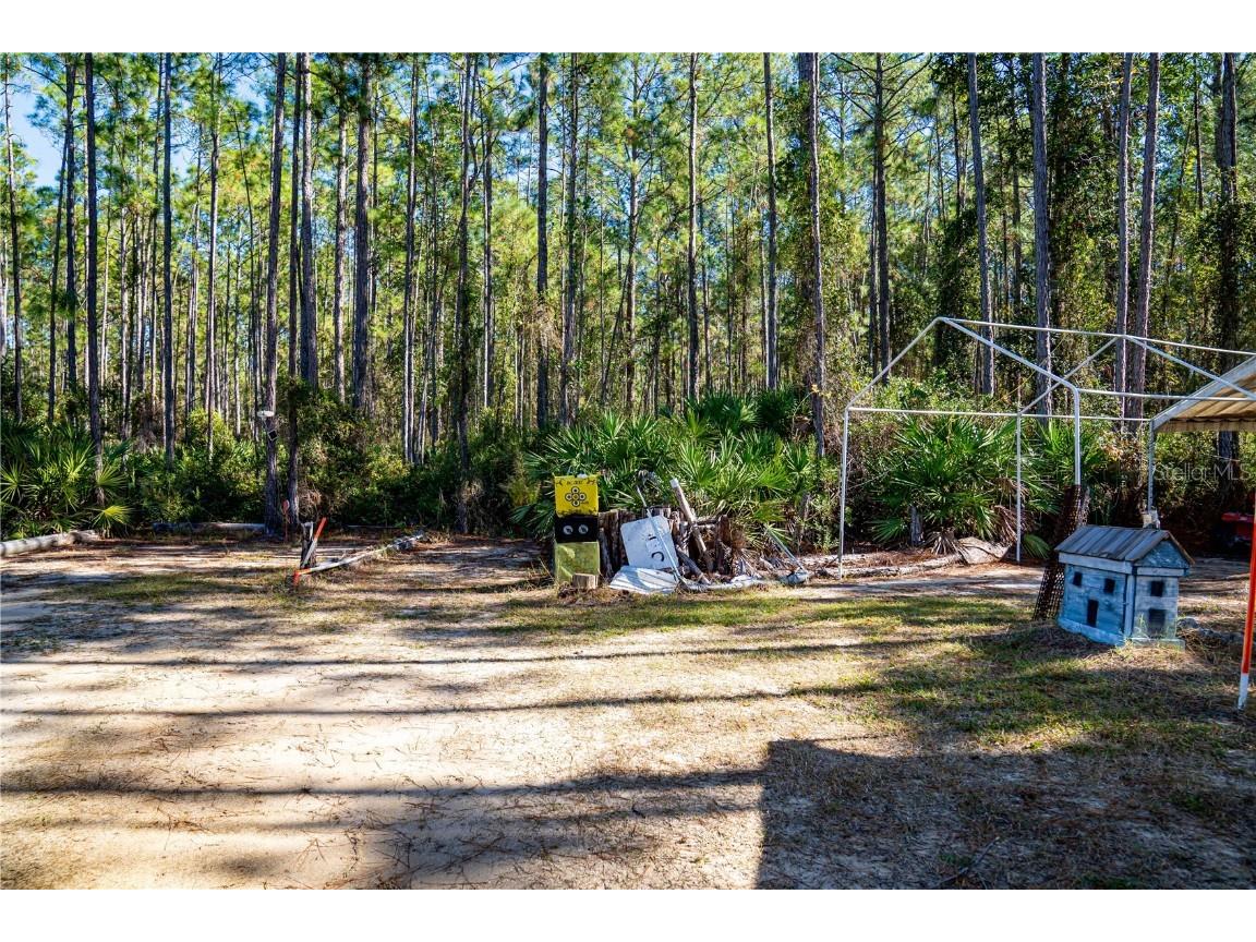 132 Nutmeg Trail Interlachen FL 32148 TB8458684 image58