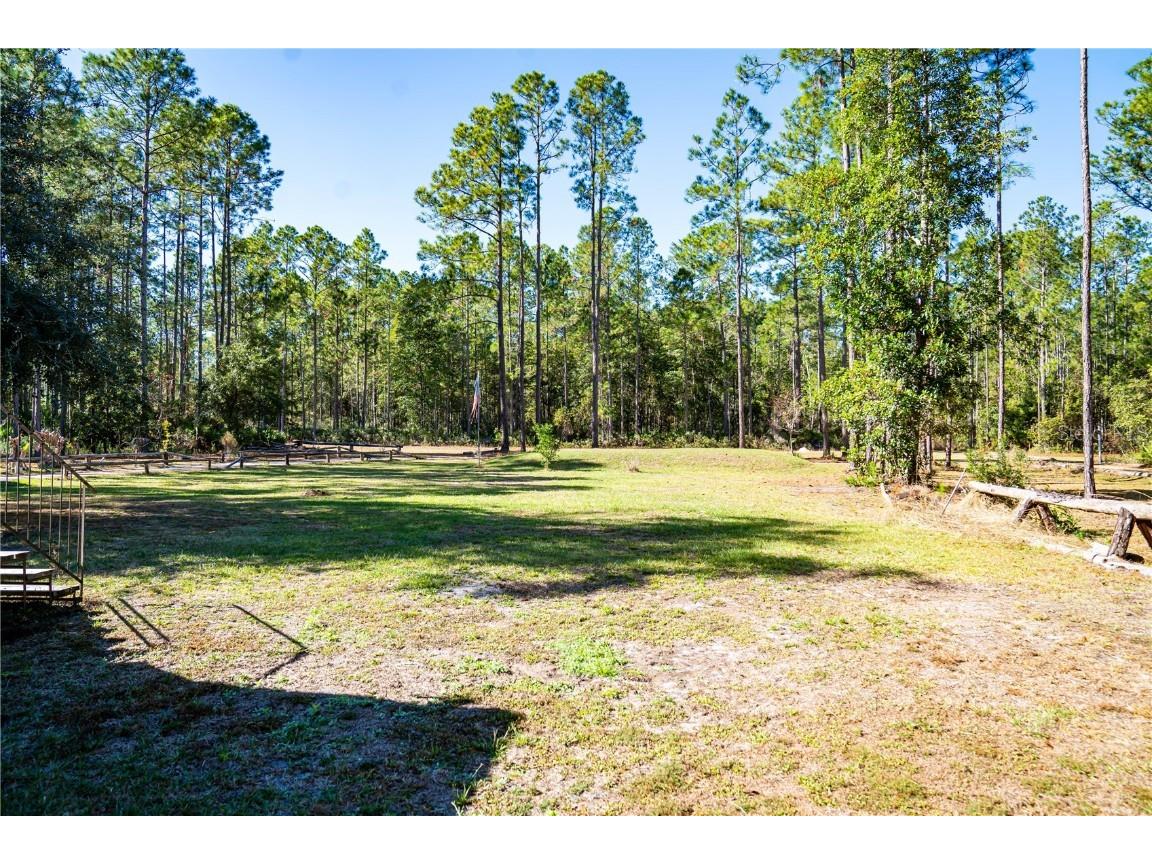 132 Nutmeg Trail Interlachen FL 32148 TB8458684 image68