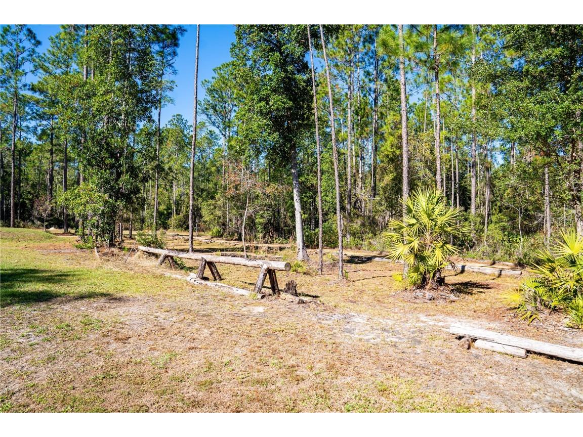 132 Nutmeg Trail Interlachen FL 32148 TB8458684 image69