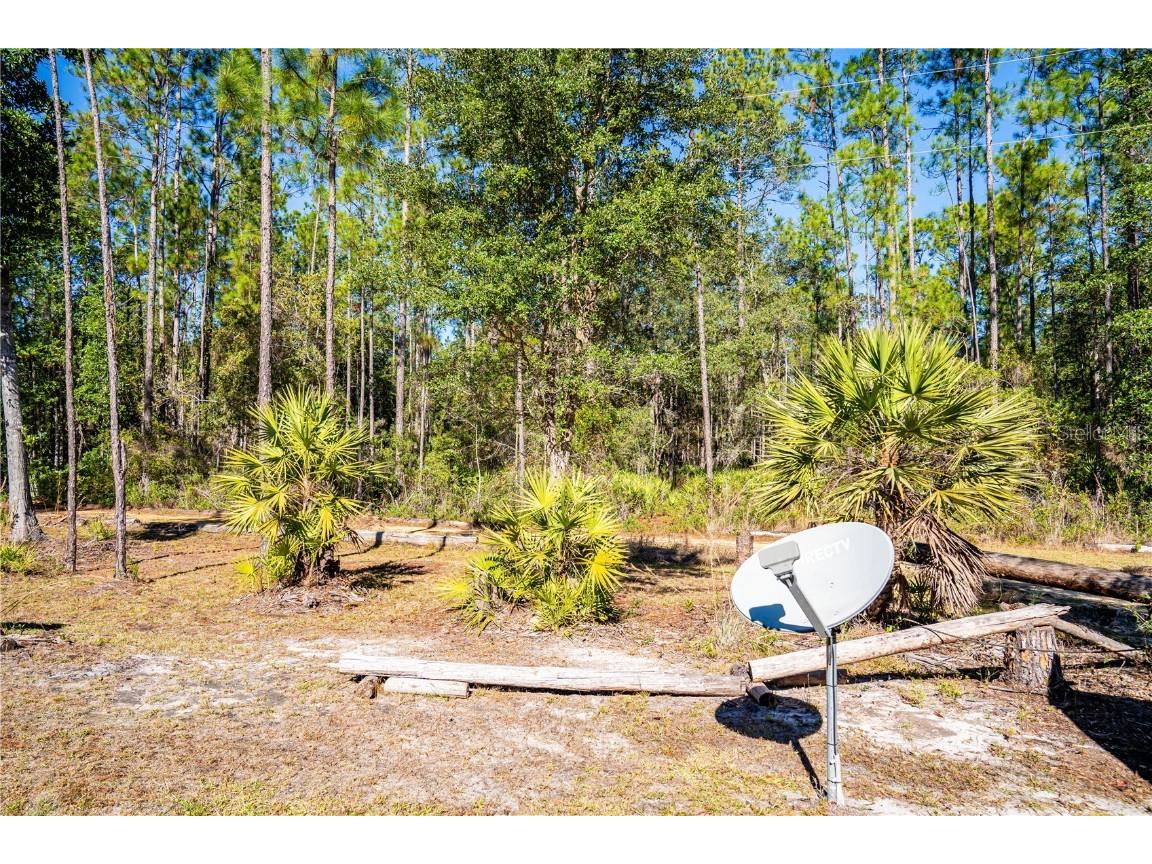 132 Nutmeg Trail Interlachen FL 32148 TB8458684 image70