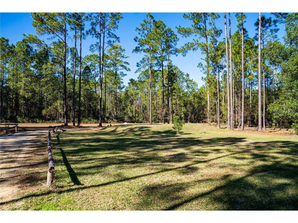 132 Nutmeg Trail Interlachen FL 32148 TB8458684 image72