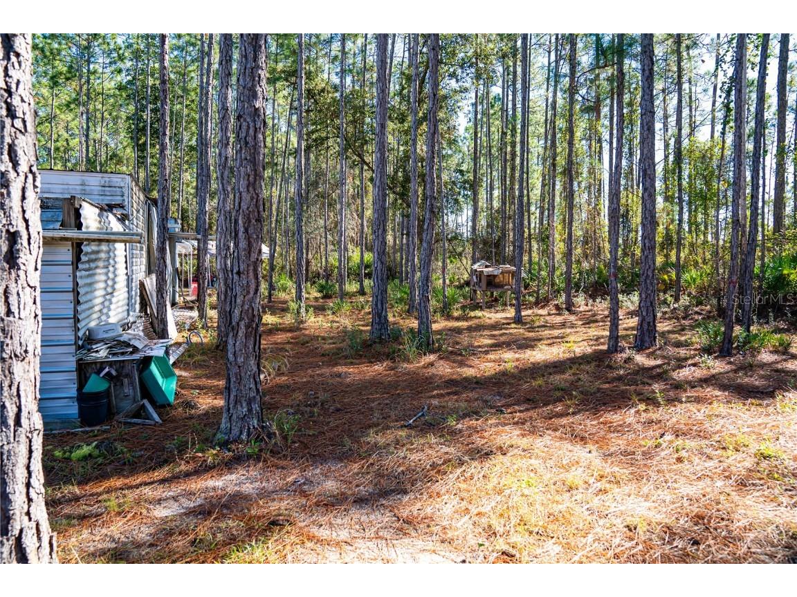 132 Nutmeg Trail Interlachen FL 32148 TB8458684 image76