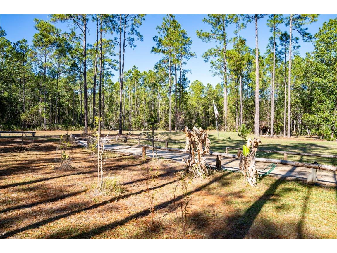 132 Nutmeg Trail Interlachen FL 32148 TB8458684 image77