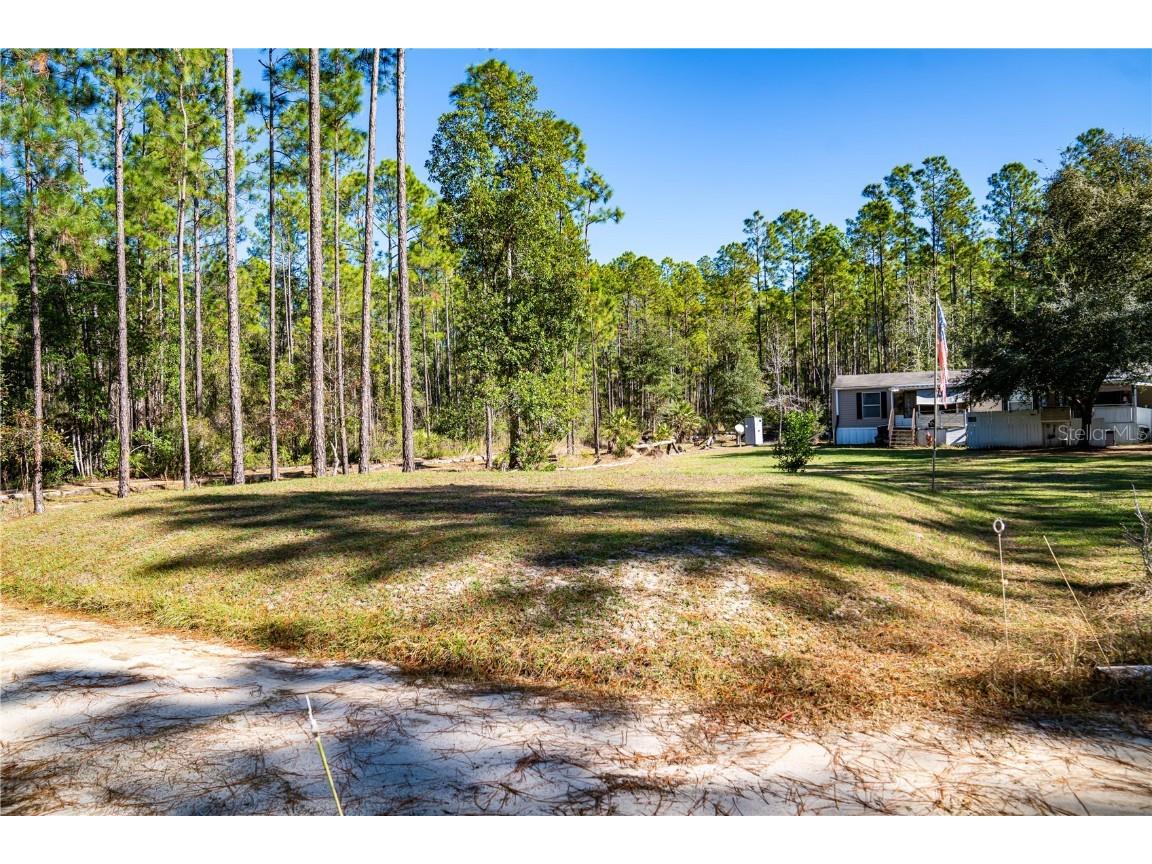 132 Nutmeg Trail Interlachen FL 32148 TB8458684 image80