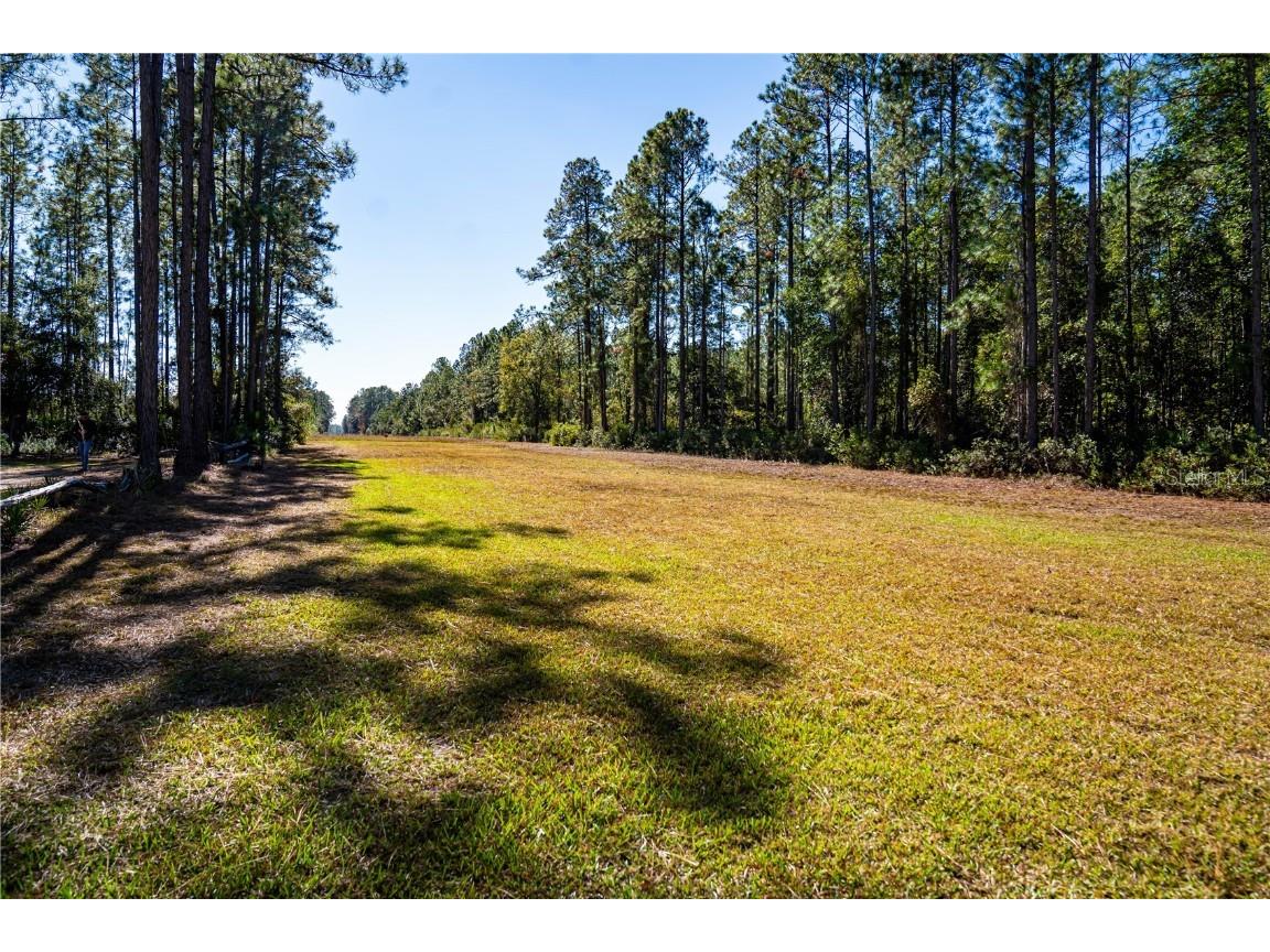 132 Nutmeg Trail Interlachen FL 32148 TB8458684 image84