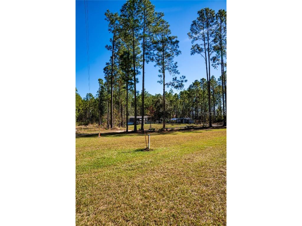 132 Nutmeg Trail Interlachen FL 32148 TB8458684 image88