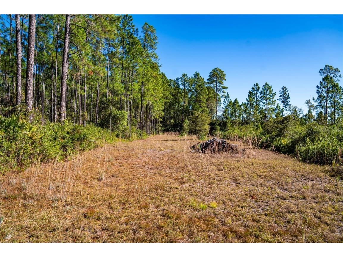 132 Nutmeg Trail Interlachen FL 32148 TB8458684 image89