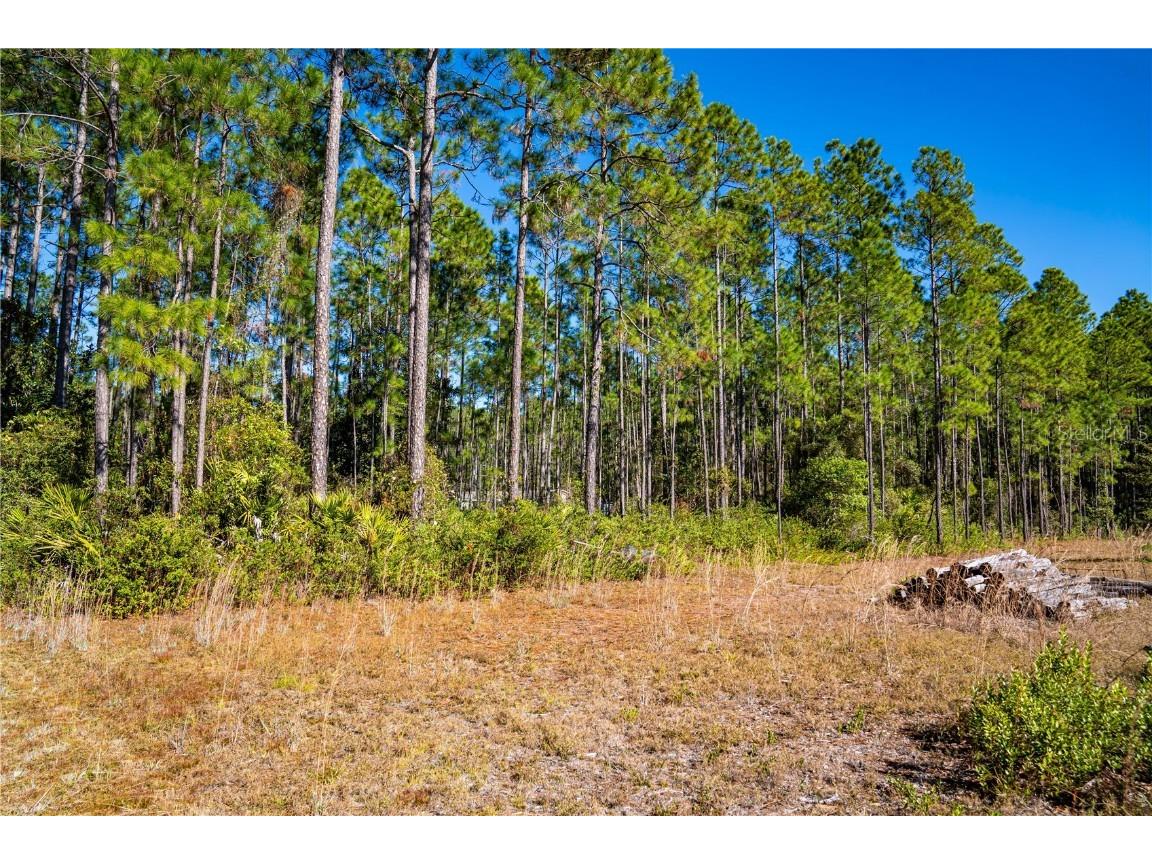 132 Nutmeg Trail Interlachen FL 32148 TB8458684 image90