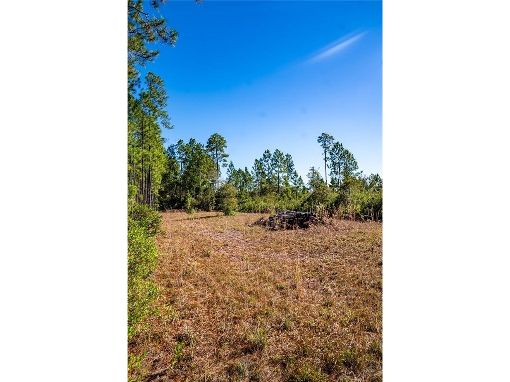 132 Nutmeg Trail Interlachen FL 32148 TB8458684 image91