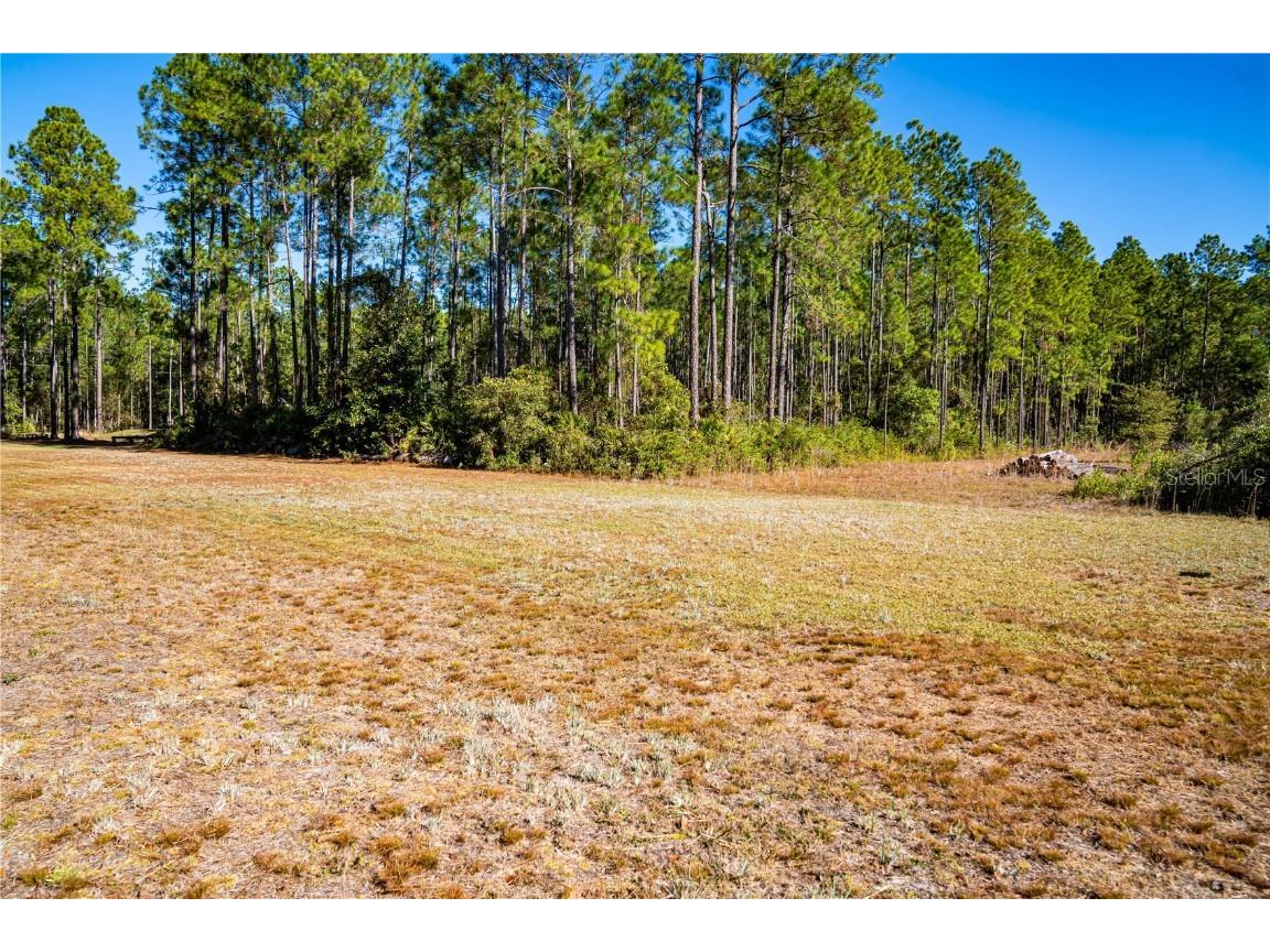 132 Nutmeg Trail Interlachen FL 32148 TB8458684 image93