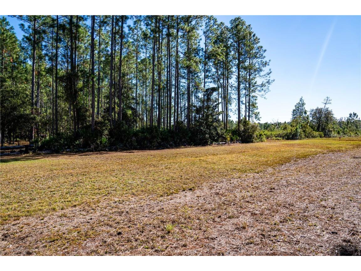 132 Nutmeg Trail Interlachen FL 32148 TB8458684 image95