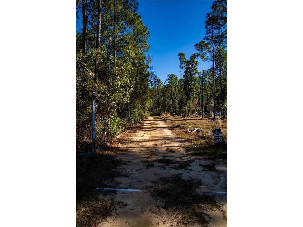 132 Nutmeg Trail Interlachen FL 32148 TB8458684 image96