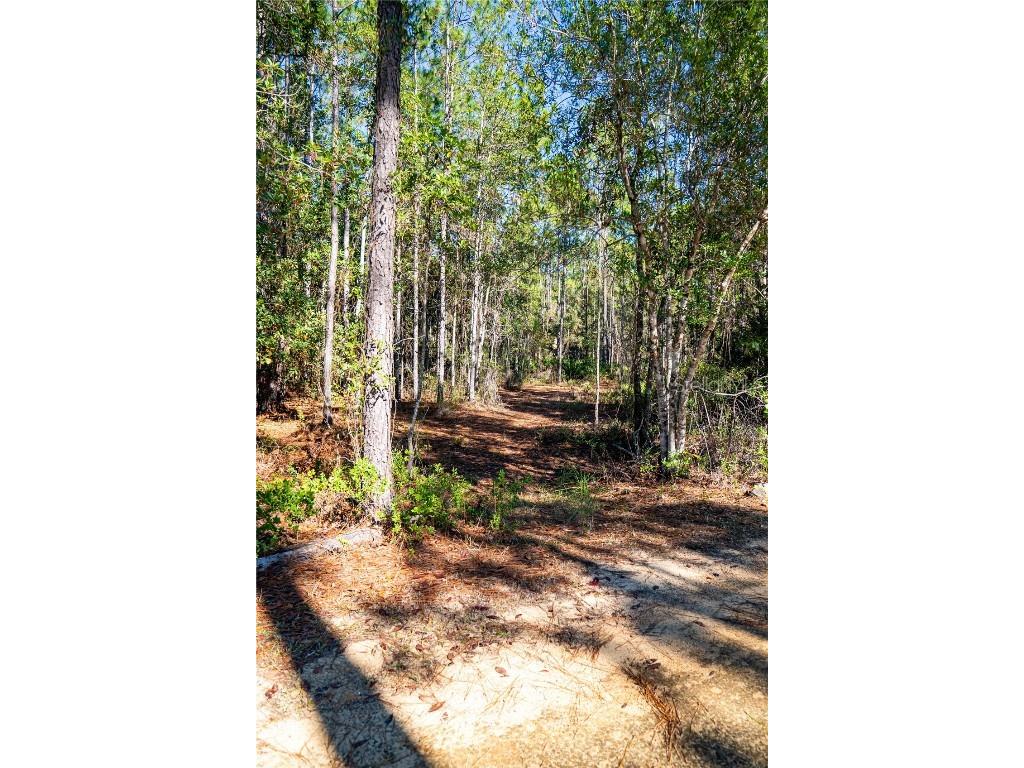 132 Nutmeg Trail Interlachen FL 32148 TB8458684 image98