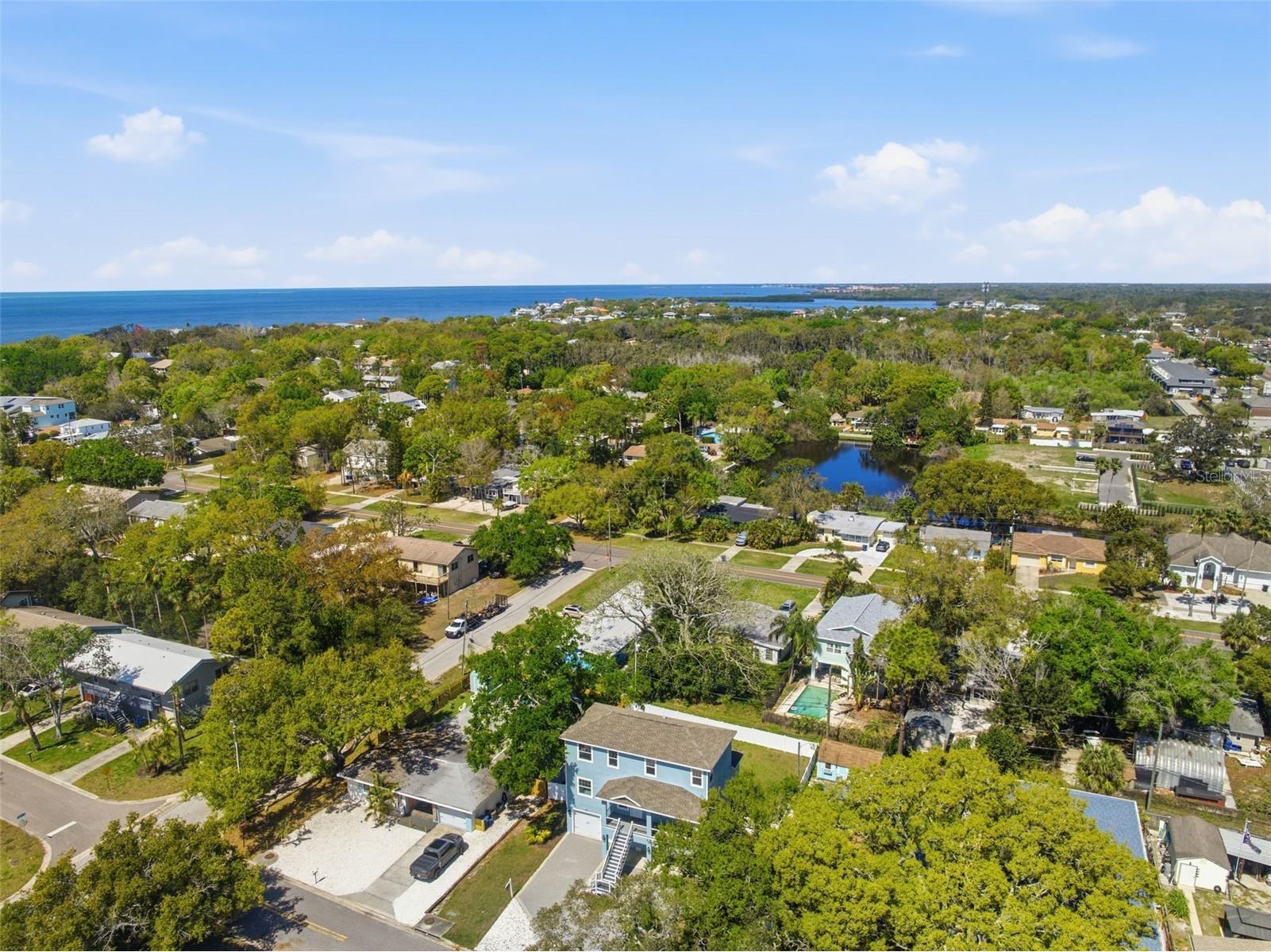 132 Pennsylvania Avenue Palm Harbor FL 34683 TB8400104 image51