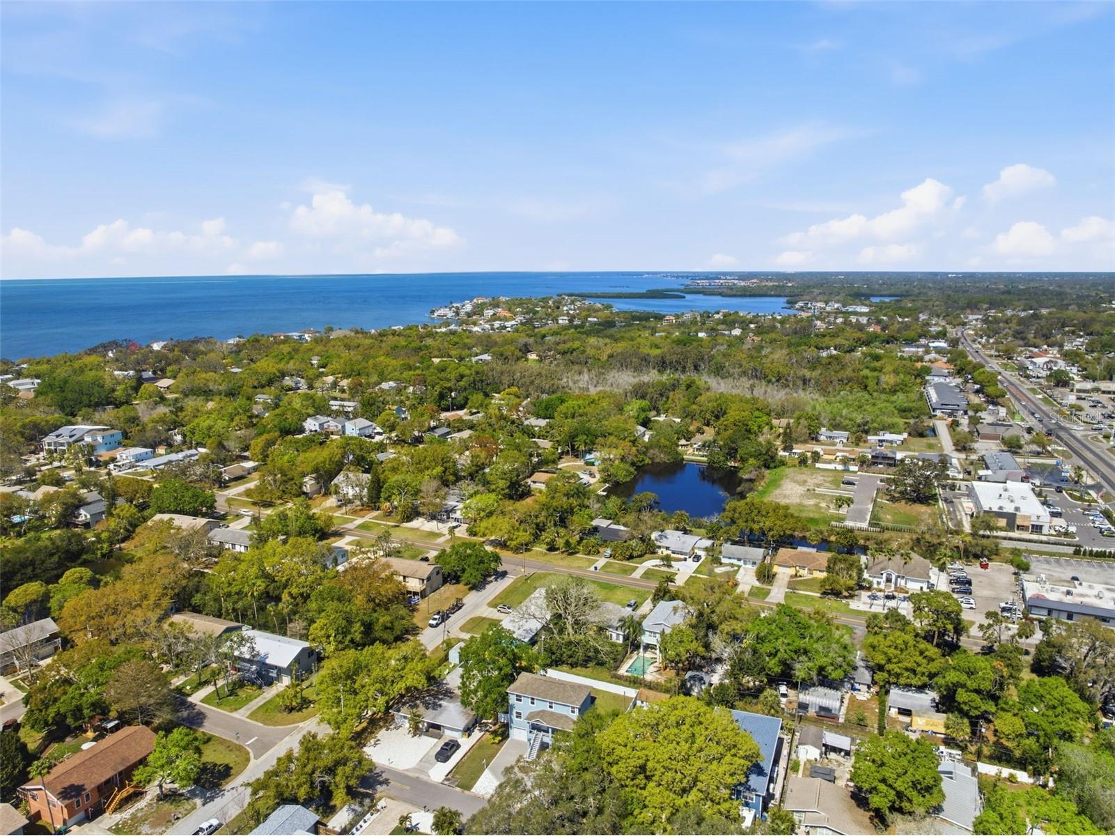 132 Pennsylvania Avenue Palm Harbor FL 34683 TB8400104 image54