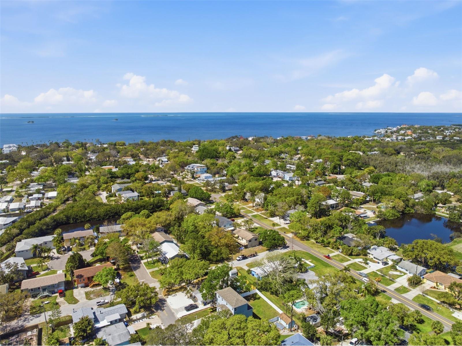 132 Pennsylvania Avenue Palm Harbor FL 34683 TB8400104 image56