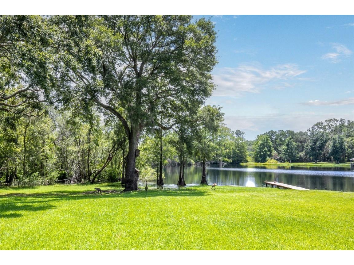 132 Pond Road Mount Dora FL 32757 G5098783 image1