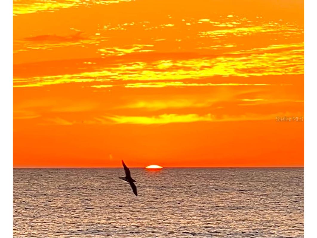 132 S Park Drive Venice FL 34285 A4659903 image27