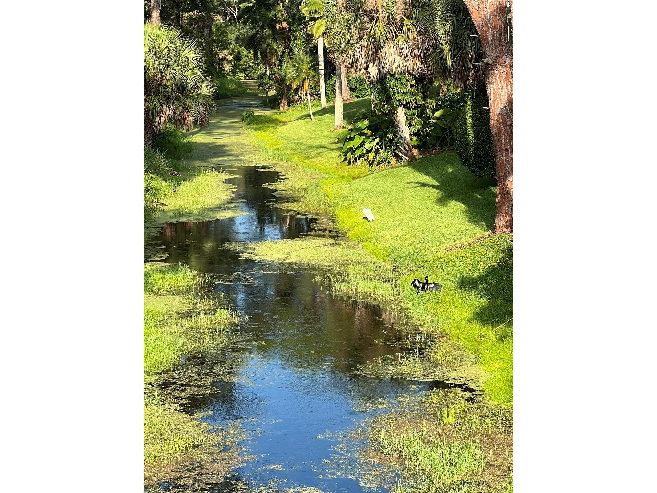 132 S Park Drive Venice FL 34285 A4659903 image30