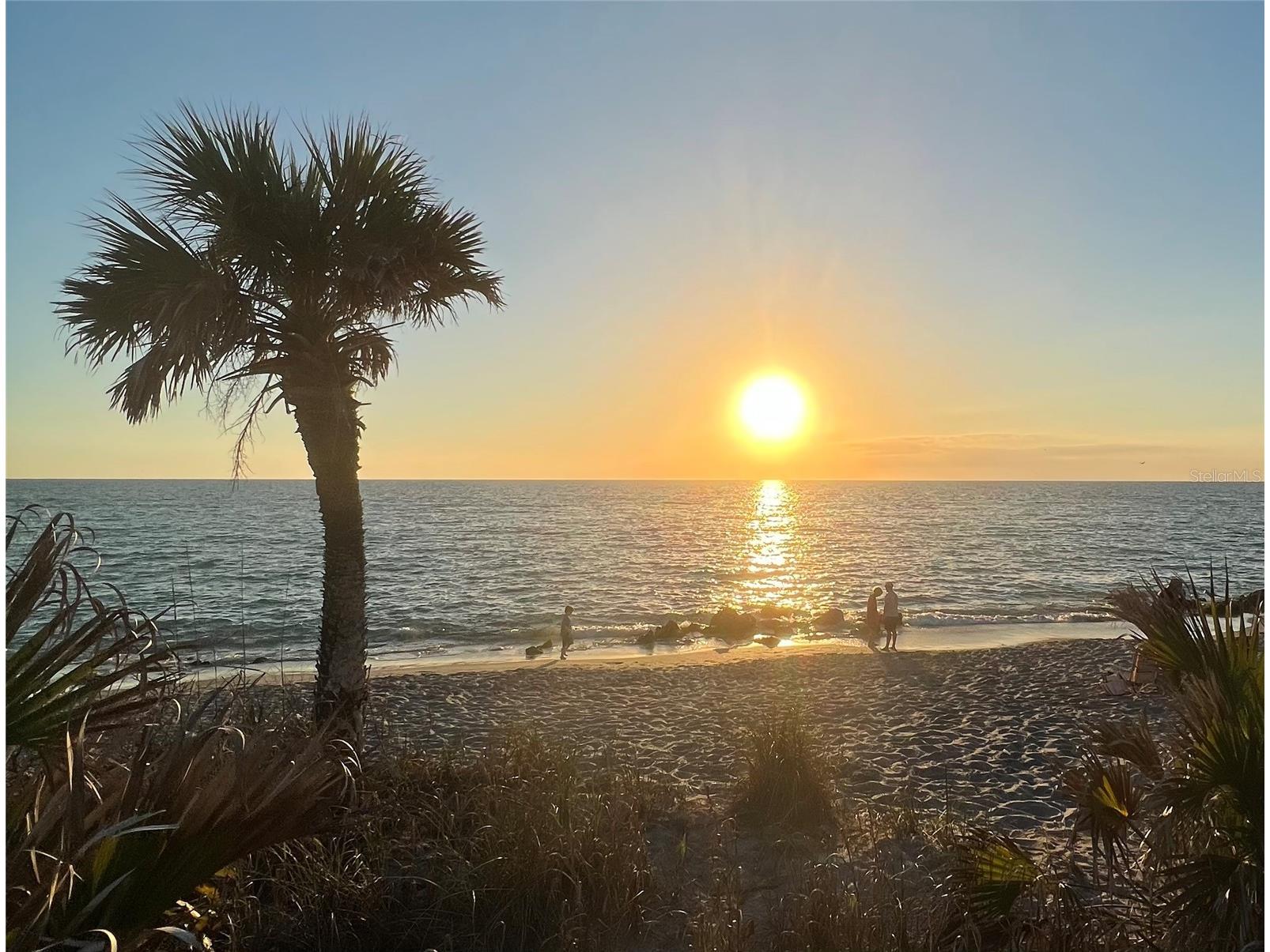 132 S Park Drive Venice FL 34285 A4659903 image31