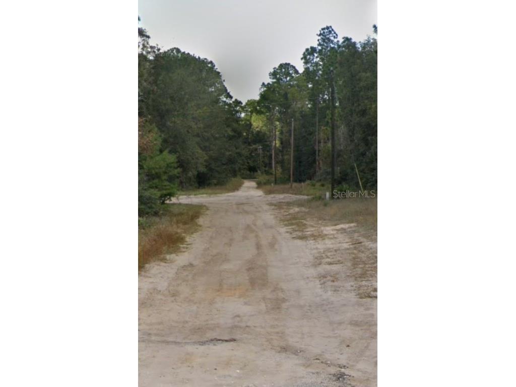 132 Sarasota Street Florahome FL 32140 OM710042 image3