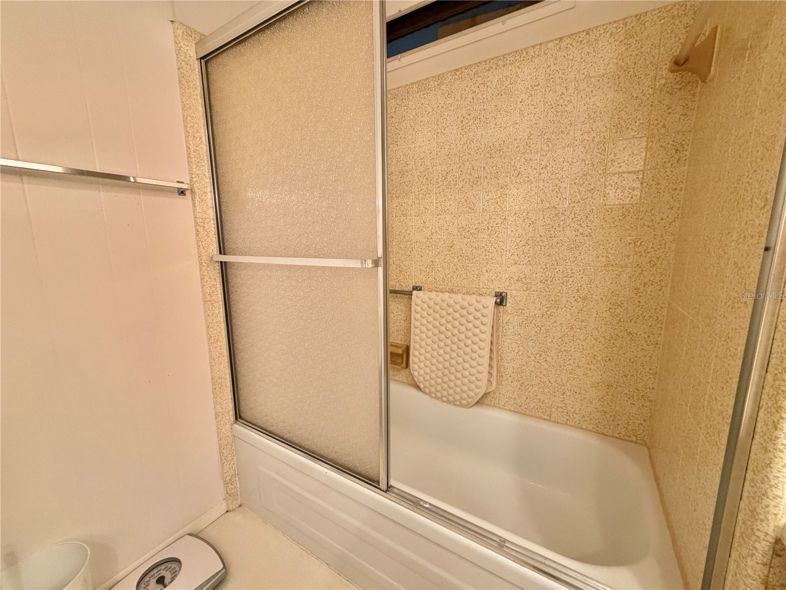 132 Tamarisk Way Leesburg FL 34748 G5113104 image26
