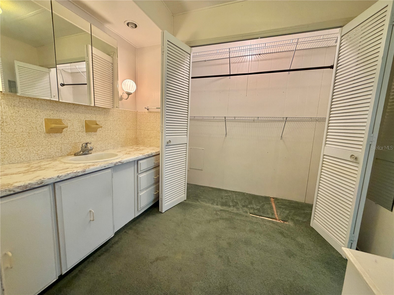 132 Tamarisk Way Leesburg FL 34748 G5113104 image32