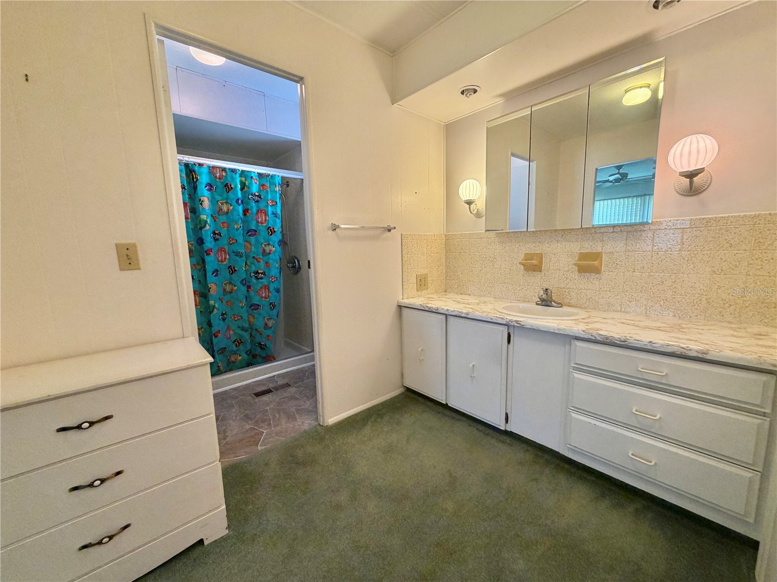 132 Tamarisk Way Leesburg FL 34748 G5113104 image33