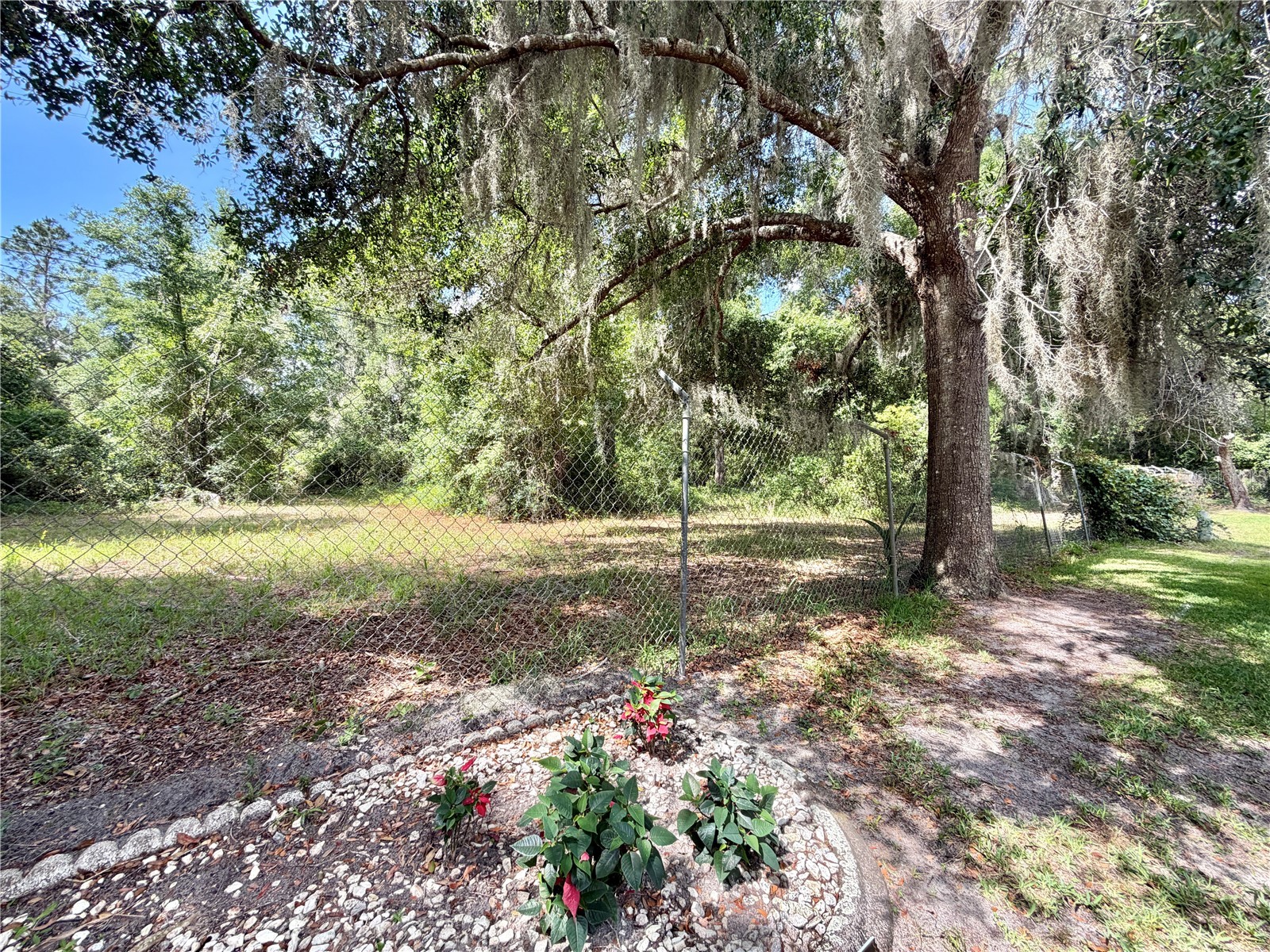 132 Tamarisk Way Leesburg FL 34748 G5113104 image49