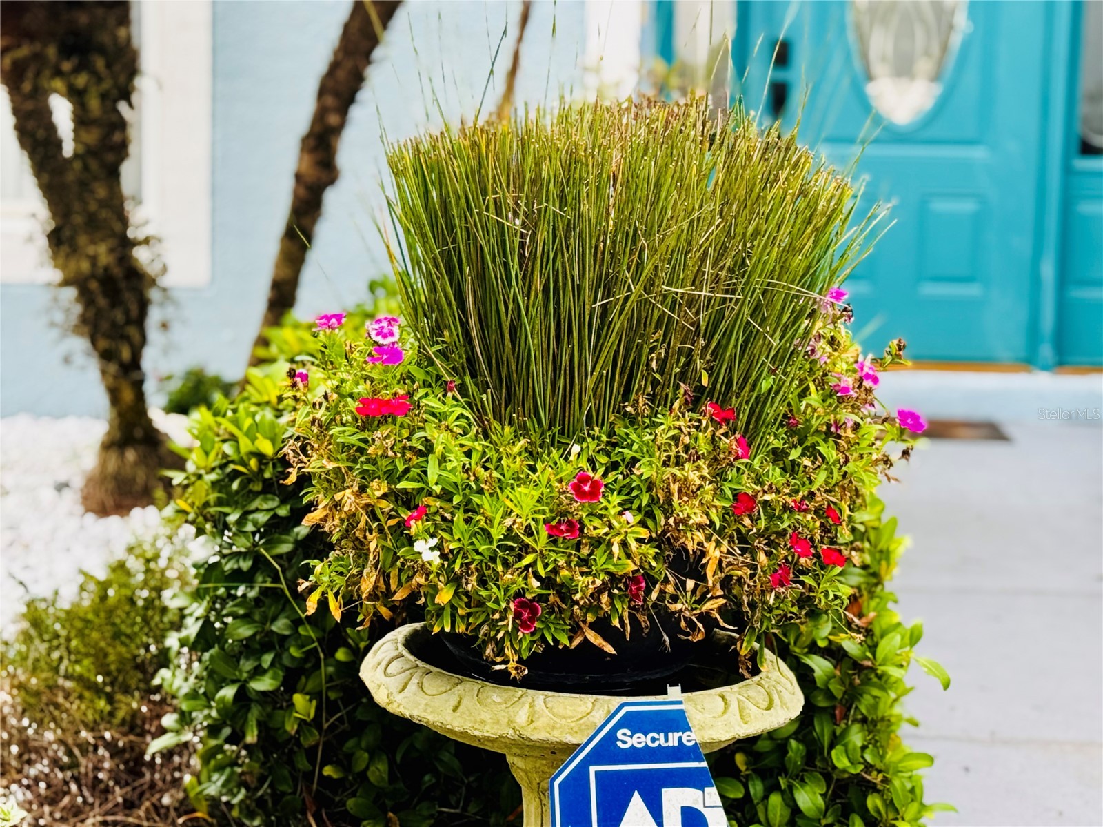 132 Vista View Avenue Eagle Lake FL 33839 - LAKE MCLEOD P4935833 image30