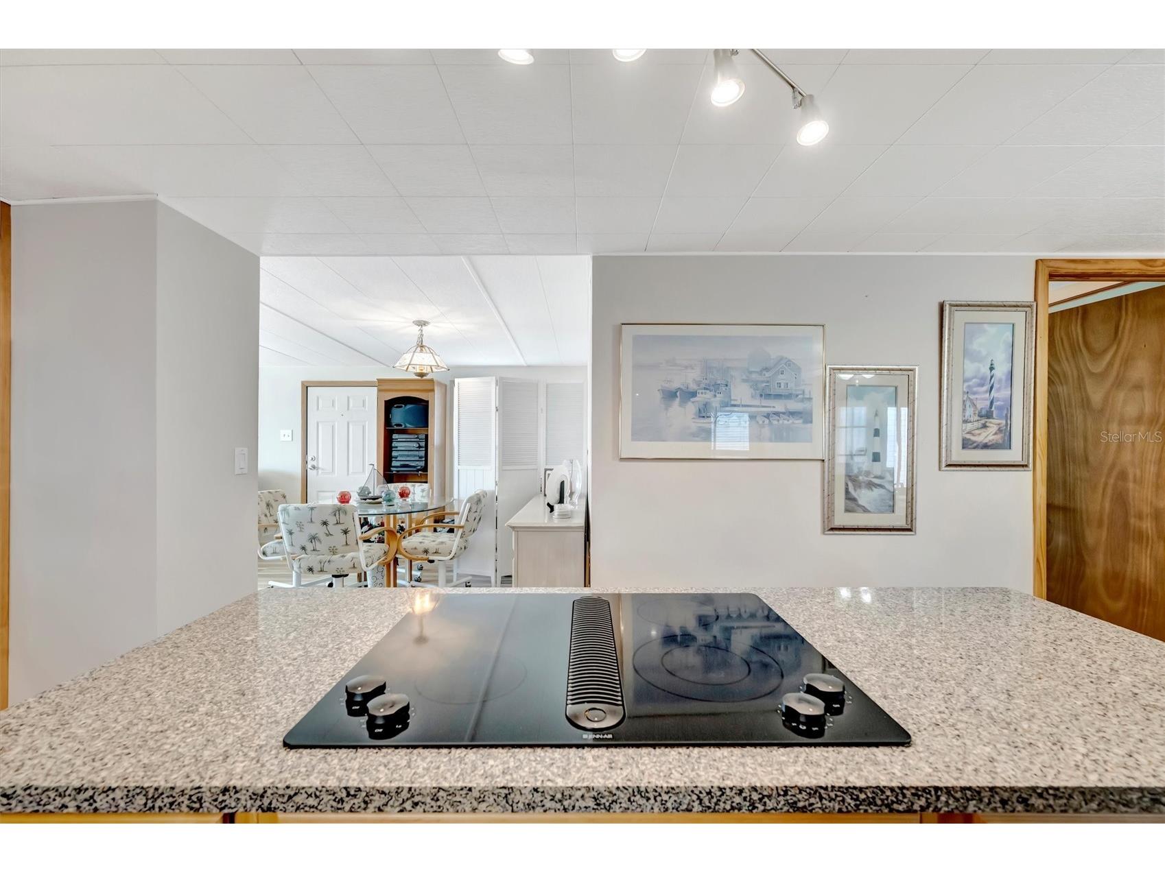 132 W Saint Lucia Loop Apollo Beach FL 33572 TB8472668 image8