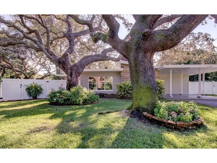 1320 Augusta Lane S Saint Petersburg FL 33707 A4679305 image1